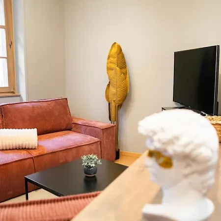 Ferienwohnung Le Roi Lion Colmar Centre Parking Gratuit Exterior foto