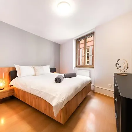 Ferienwohnung Le Roi Lion Colmar Centre Parking Gratuit Exterior foto
